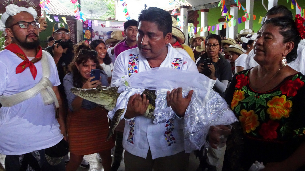 Alcalde en México se casó con un cocodrilo hembra e historia es viral.