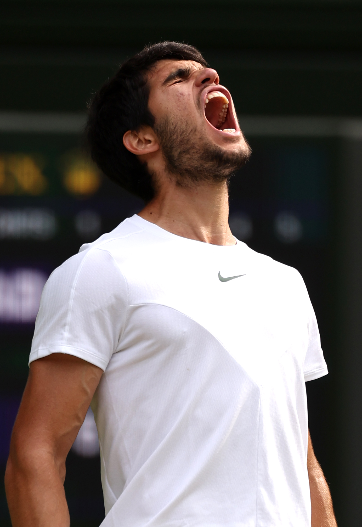 Carlos Alcaraz se impuso ante Novak Djokovic en la final de Wimbledon 2023.