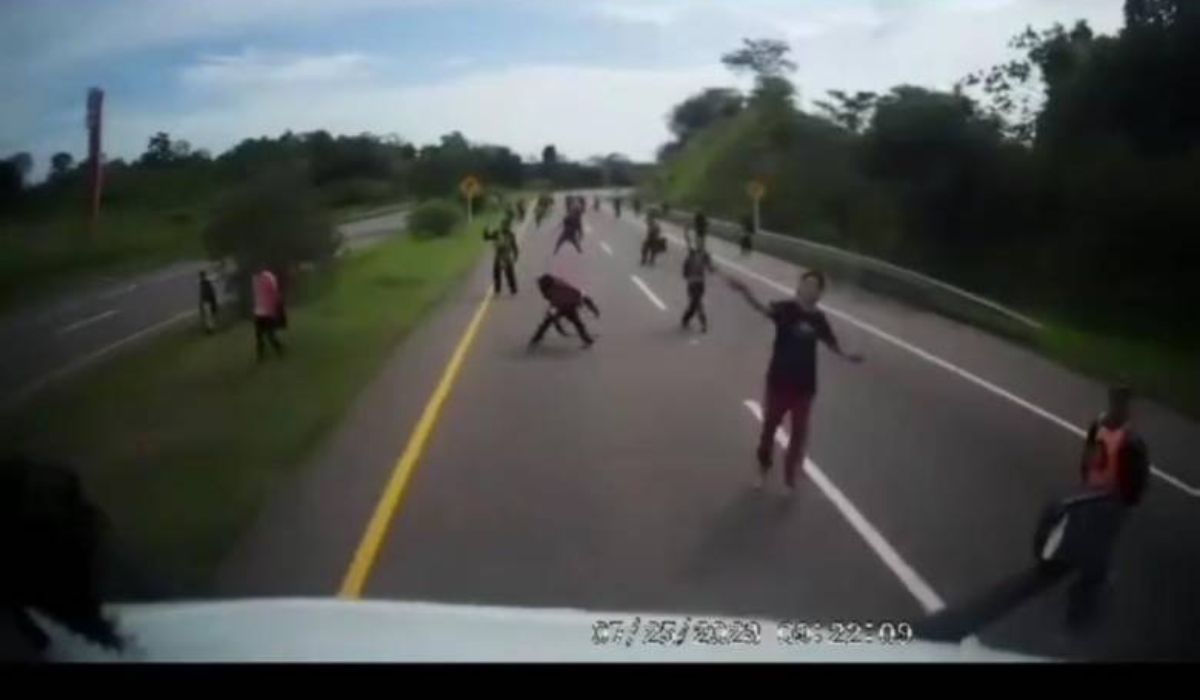 Camioneros dicen que los están robando y matando en carretera: hay videos