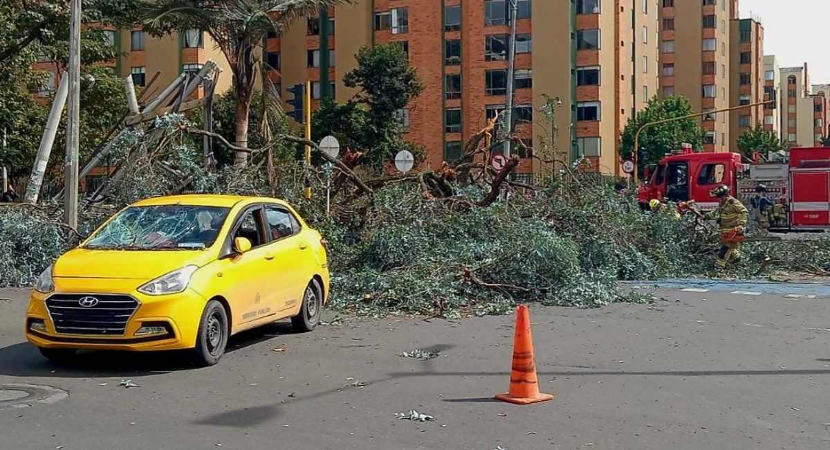 En Bogotá hoy cayó un árbol en el barrio El Salitre sobre un taxi que se movilizaba por esa zona. 
