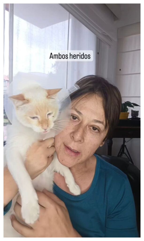Alina Lozano reveló que está "herida"/Foto: Instagram @lozanoalina