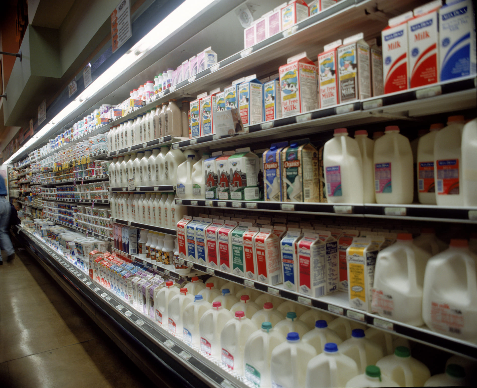 Ministerio de Agricultura ruta para incrementar el proceso de lácteos en el país.