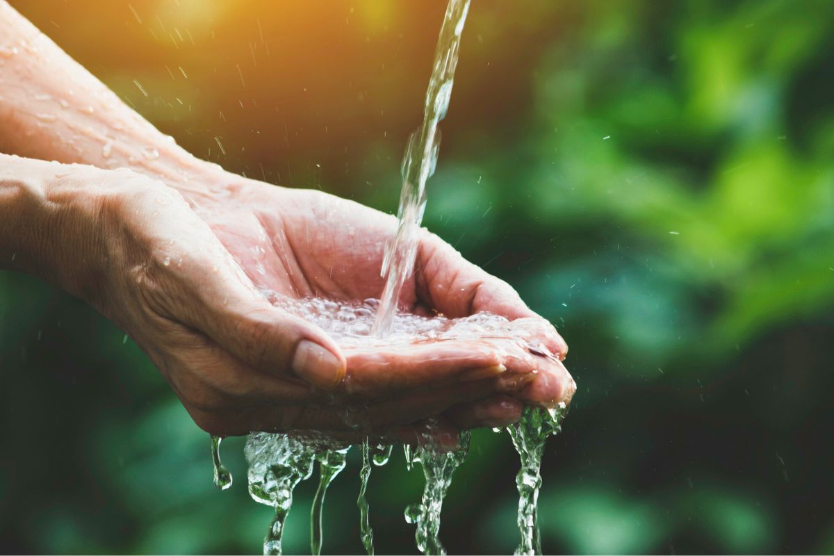 Consejos infalibles para preservar el agua desde su casa