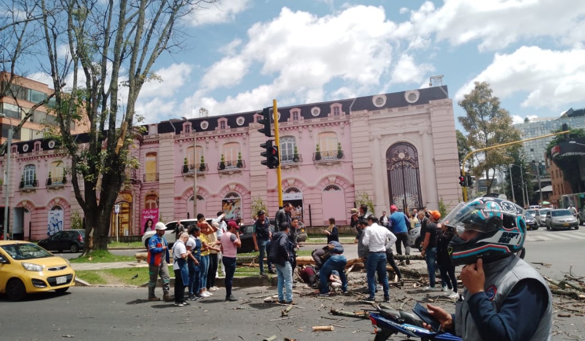 Emergencia en el norte de Bogotá por caída de árbol: dos mujeres heridas y trancón