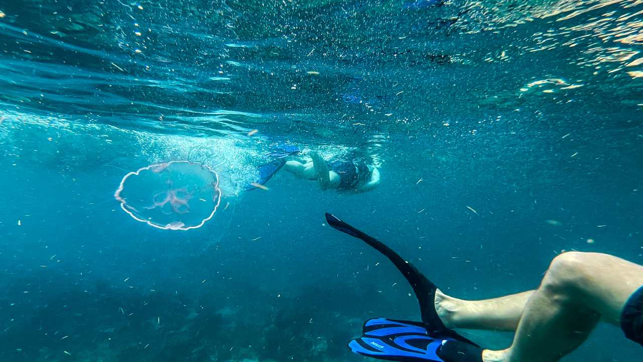 Tragedia en acuario de San Andrés: turista fue atropellada por lancha y murió