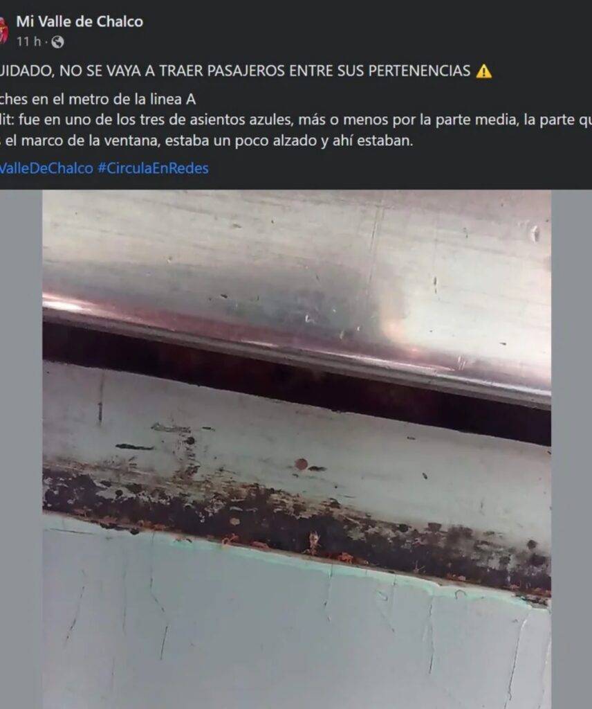 Publicación de denuncia sobre las chinches en el metro de la Ciudad de México.