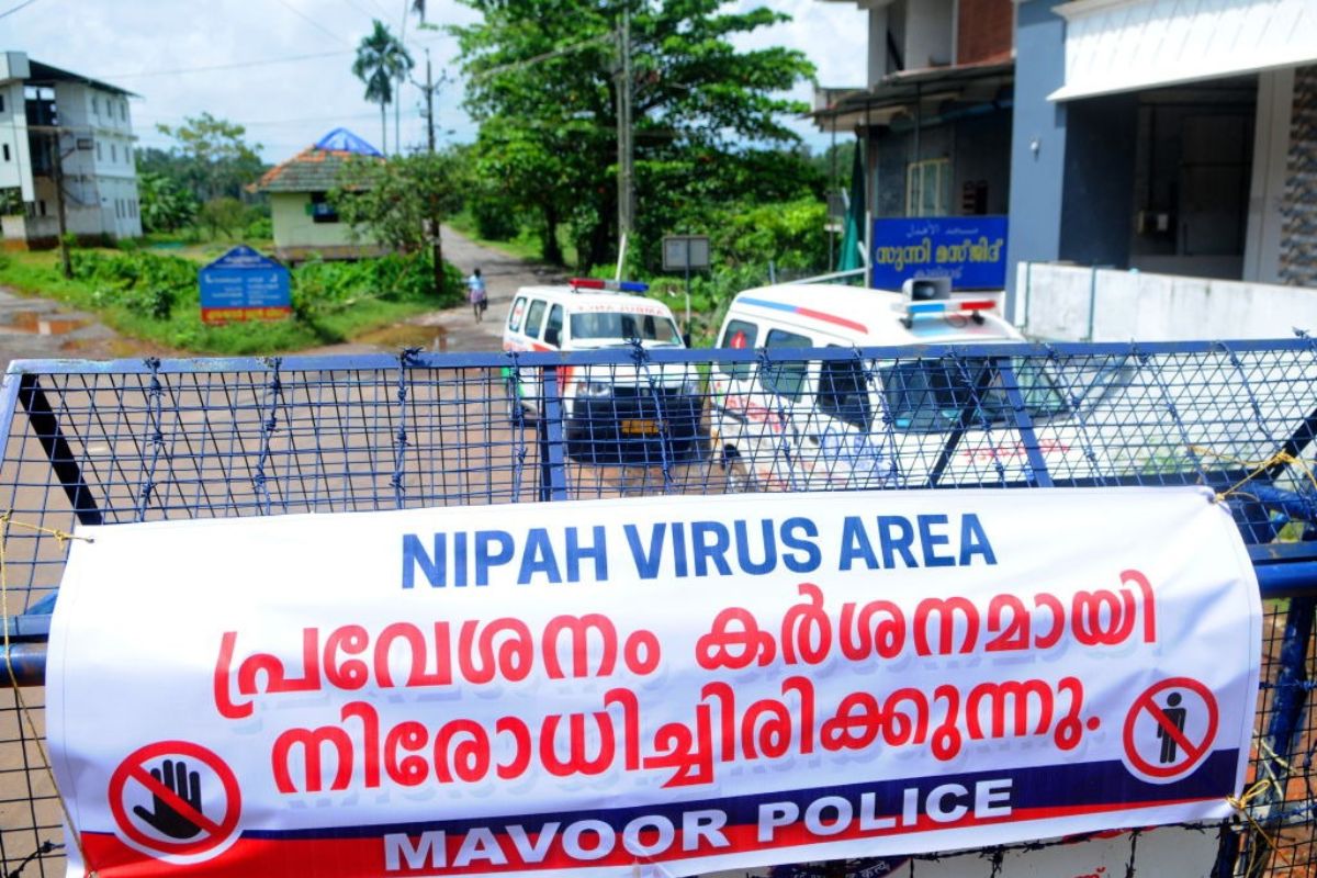 Virus Nipah en Colombia a qué poblaciones podría contagiar más y cómo prevenirlo 