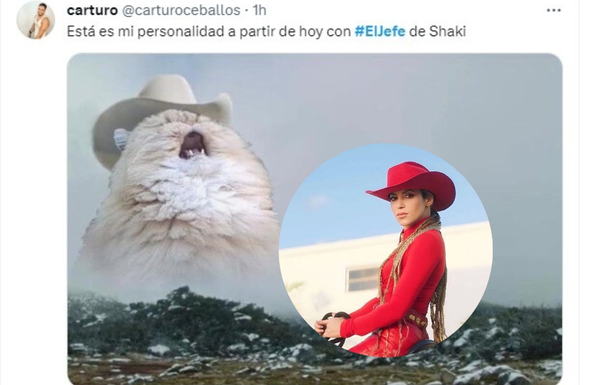 Los memes se hacen presentes por la colaboración de Shakira y Fuerza Regida.