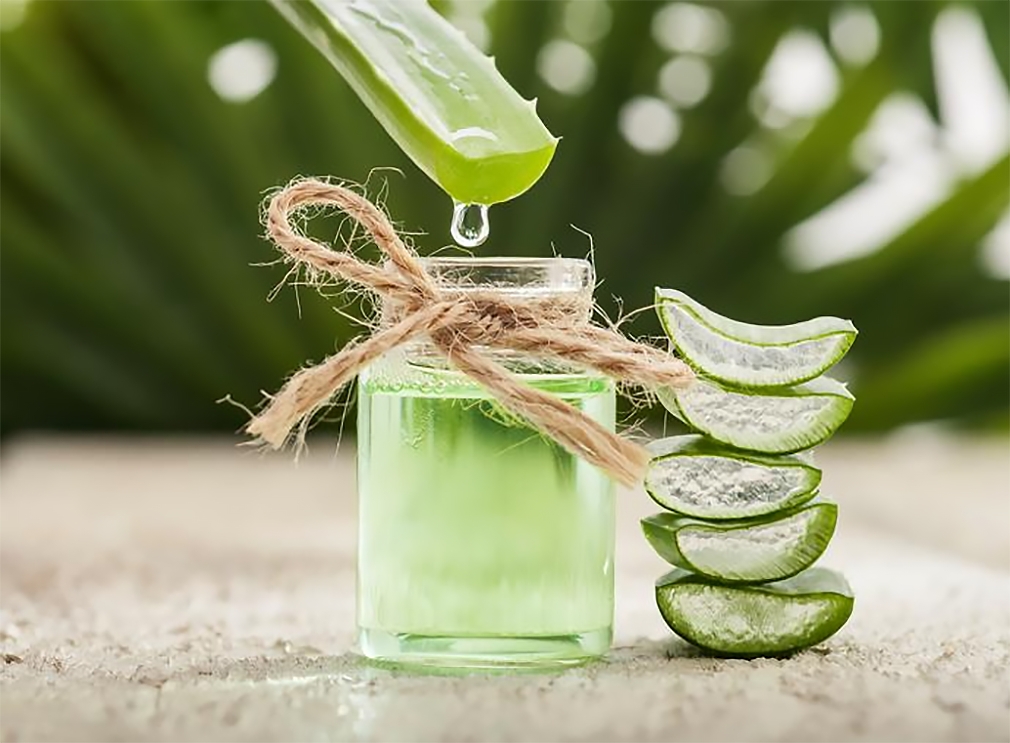 Gel de aloe vera / Créditos: Ecología Verde