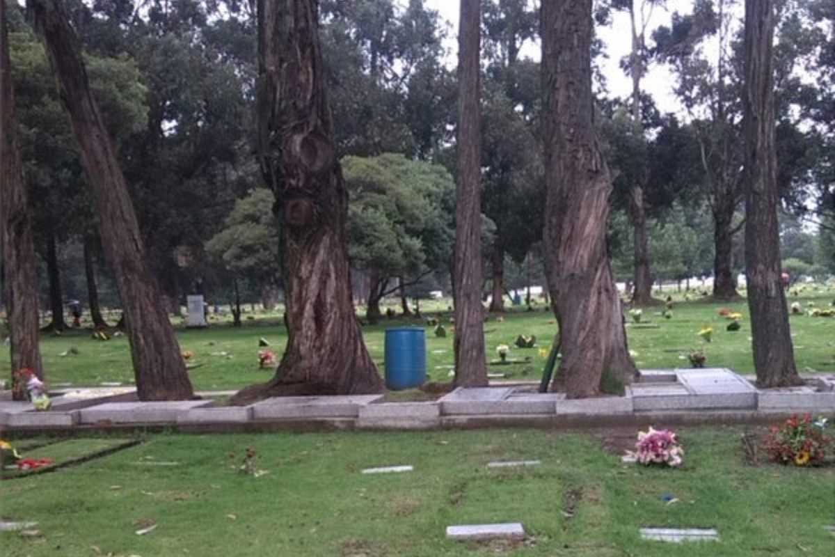Niño murió en cementerio de Bogotá y su madre, entre lágrimas, explica qué fue lo que pasó. Ella dice que el menor se pegó contra una lápida y falleció. 