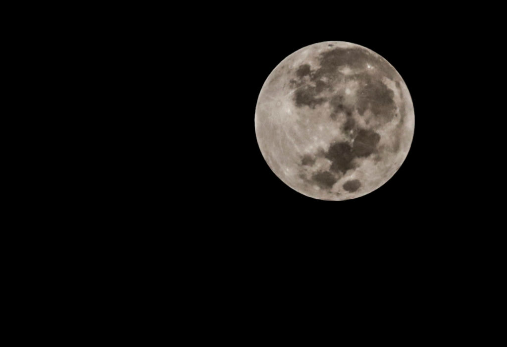 Enviarán al espacio al primer colombiano: ¿Cuándo será?
According to the National Aeronautics and Space Administration (NASA), it explains that a supermoon occurs when the satellite's orbit is closest (or perigee) to the Earth at the same time as it is full. (Photo by Gerardo Vieyra/NurPhoto via Getty Images)