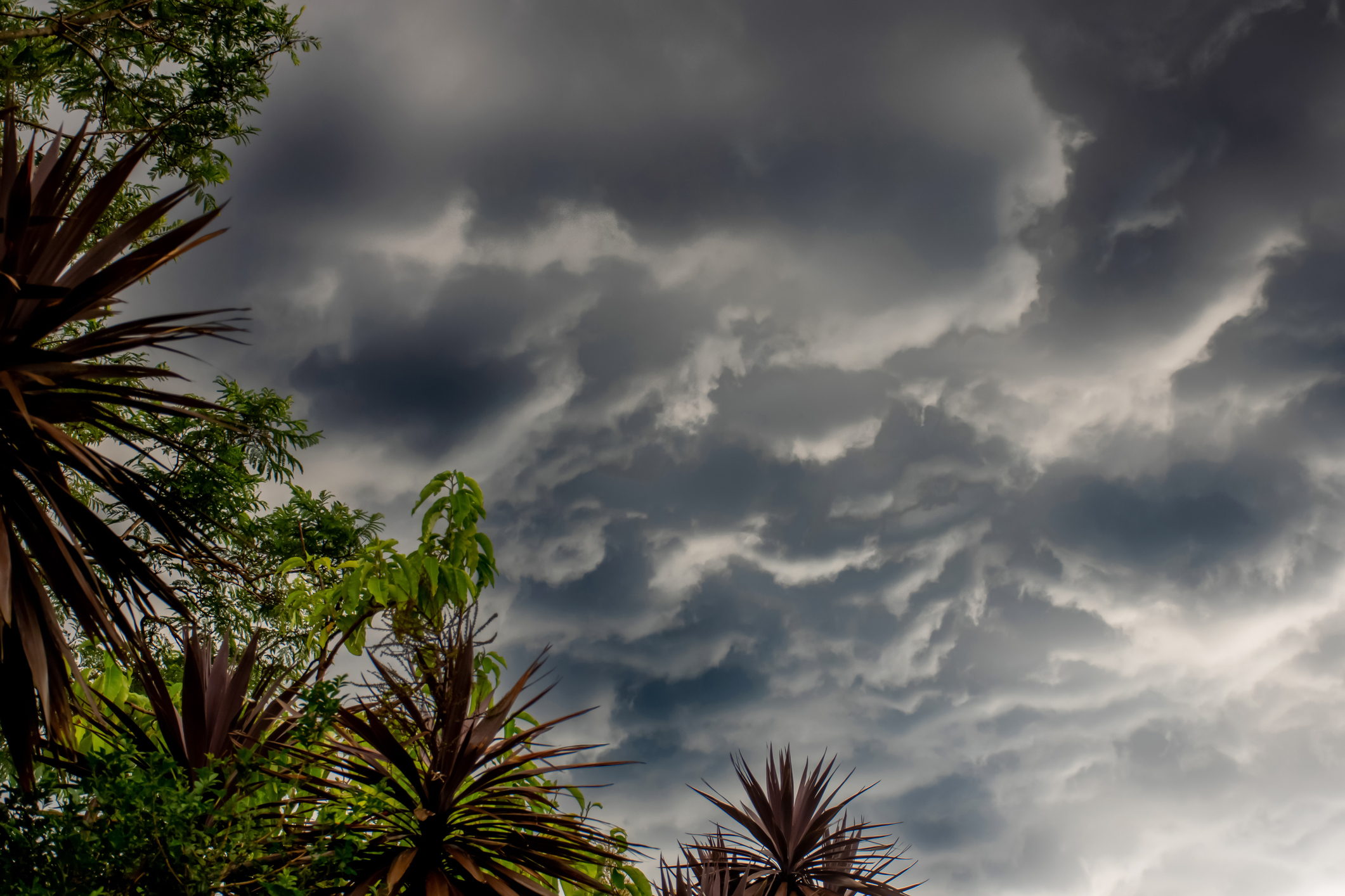 Aclaran que duración tendrá el Fenómeno de El Niño en Colombia y cuales serán sus efectos a largo plazo.