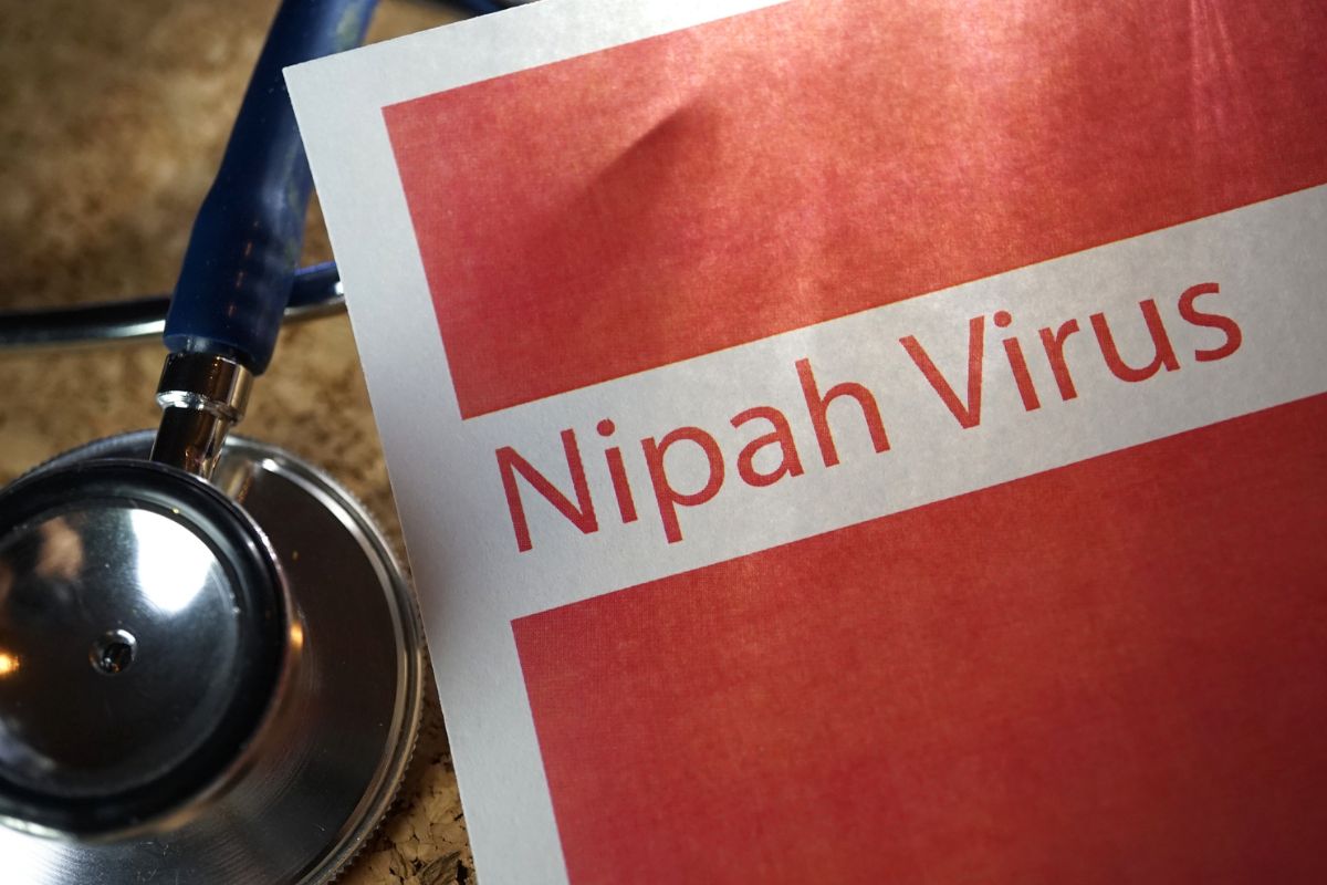 Virus Nipah en el mundo: cuántas enfermedades pasarían de animales a humanos
