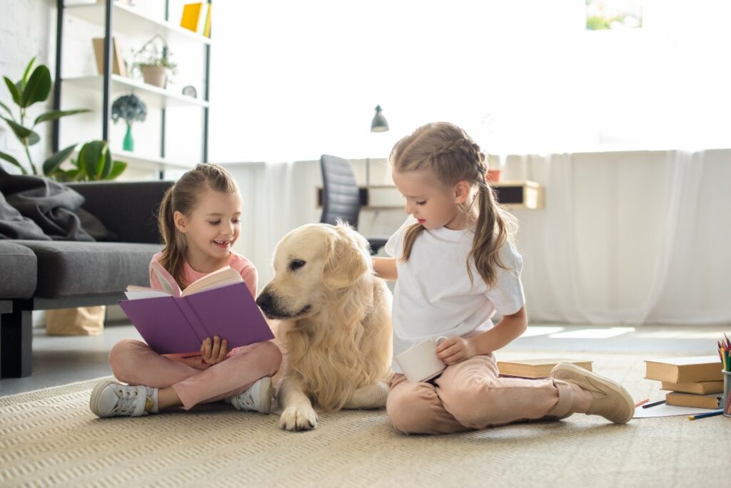 Su hijo pasará tiempo con su mascota y para ello deberá aprender algunas reglas de convivencia y comportamiento.