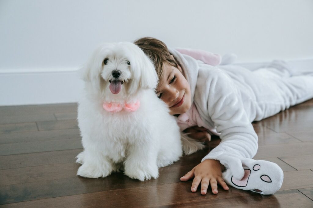 Son conocidos por ser perros amigables, cariñosos y sociables. / Pexels