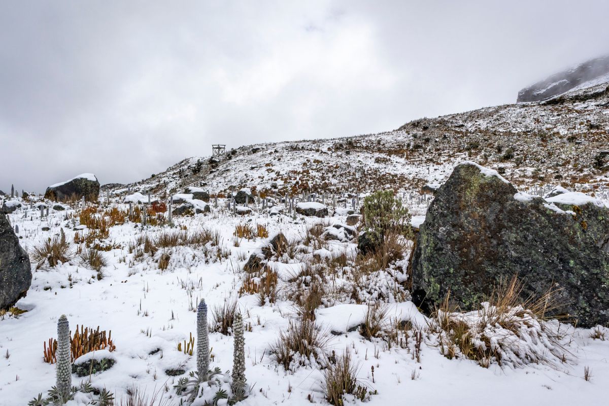 Destino de nieve más cercano a Bogotá y cuánto cuesta visitarlo