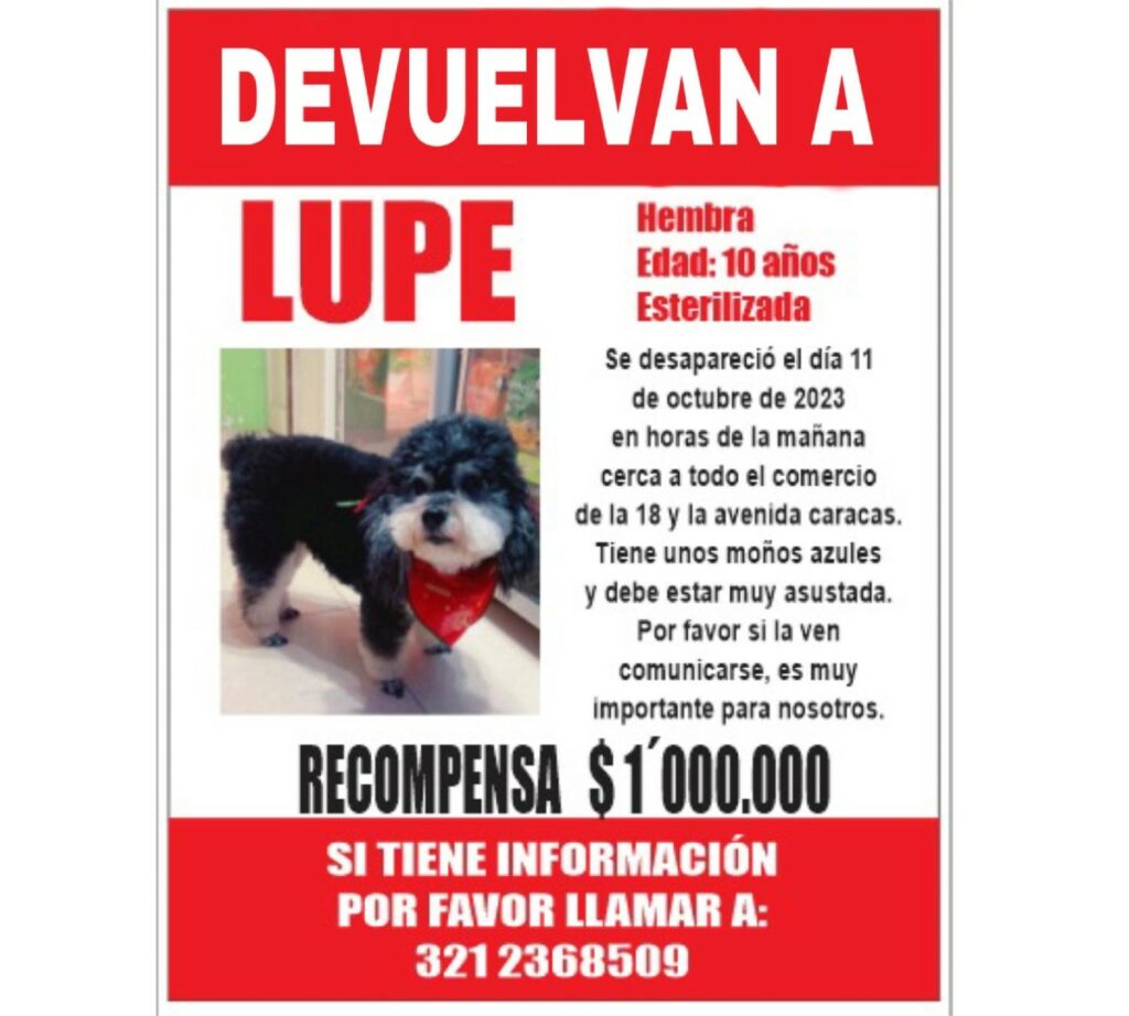 Lo más preocupante es que Lupe tiene un problema en el oído desde que era pequeña y ha estado bajo tratamiento. / Cortesía para Pulzo,