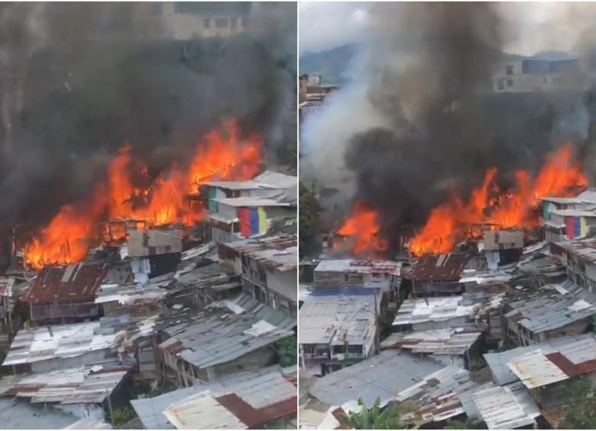 Voraz incendio en Pereira destruyó varias viviendas; animales fueron atendidos