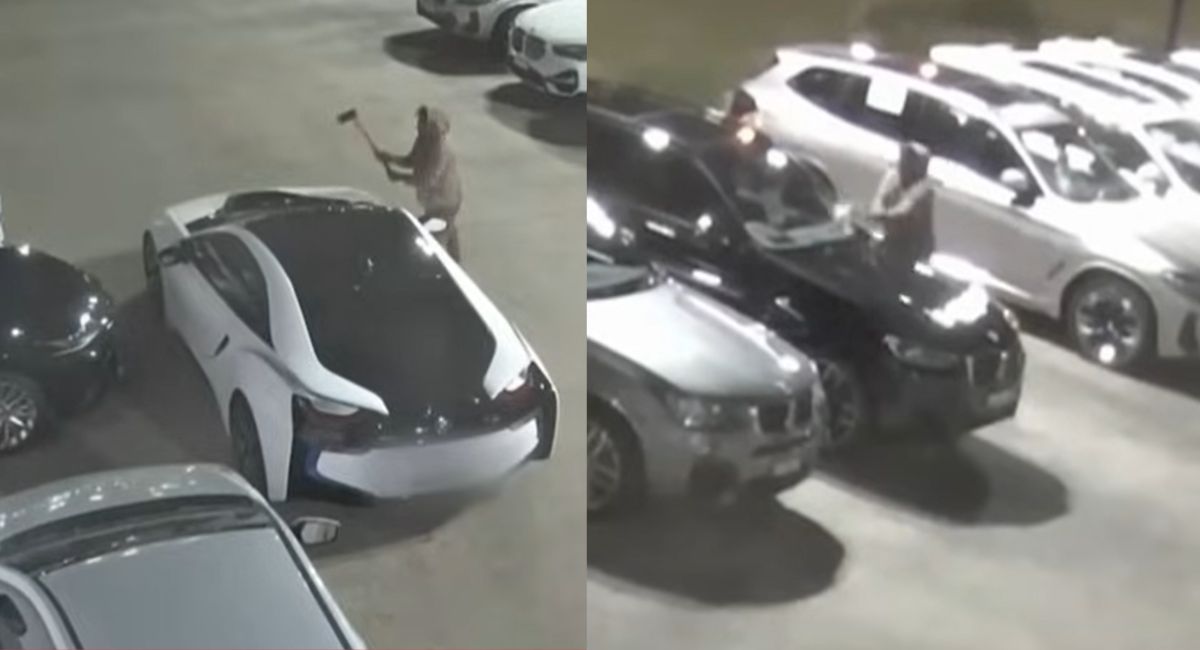Un hombre armado con un hacha se paseó por tres concesionarios en Australia y rompió los vidrios de 20 lujosos vehículos que permanecían exhibidos.