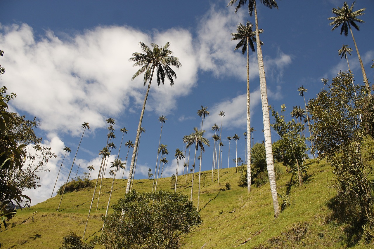 Cuáles son los 5 destinos más fotografiadles de Colombia y dónde quedan