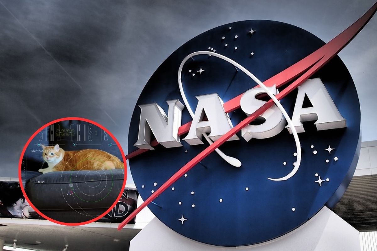 La Nasa reveló un video enviado desde 30 millones de kilómetros de distancia: proyecto para comunicación interplanetaria