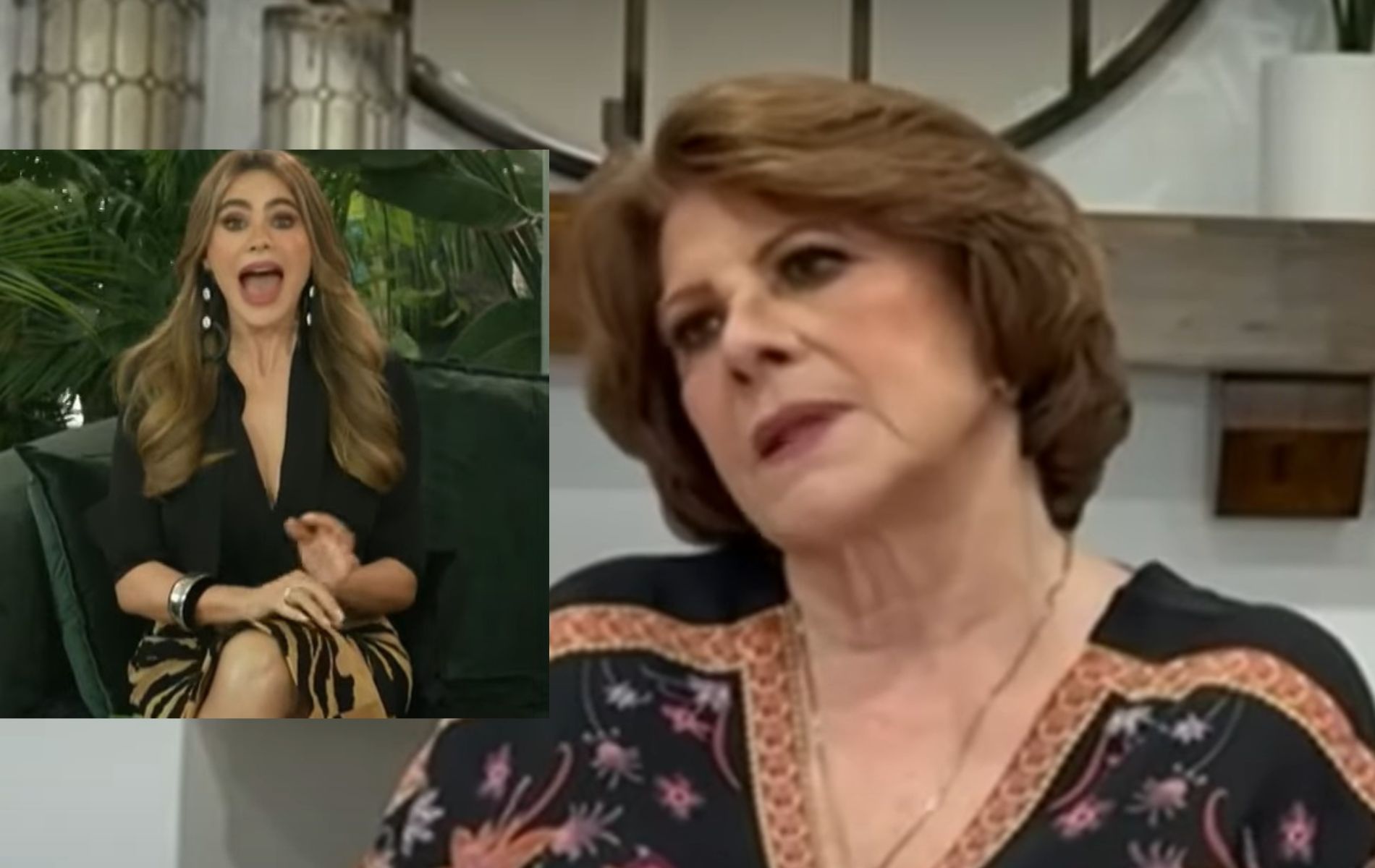 Quién es la tía de Sofía Vergara que inspiró su papel de 'Griselda', de Netflix.