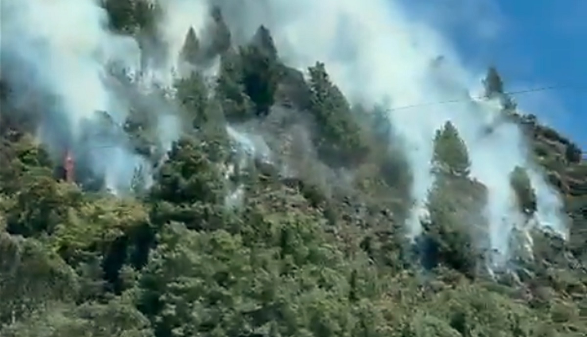Incendio en Bogotá; llamas en cerro El Cable, cerca a casas de barrio Paraíso