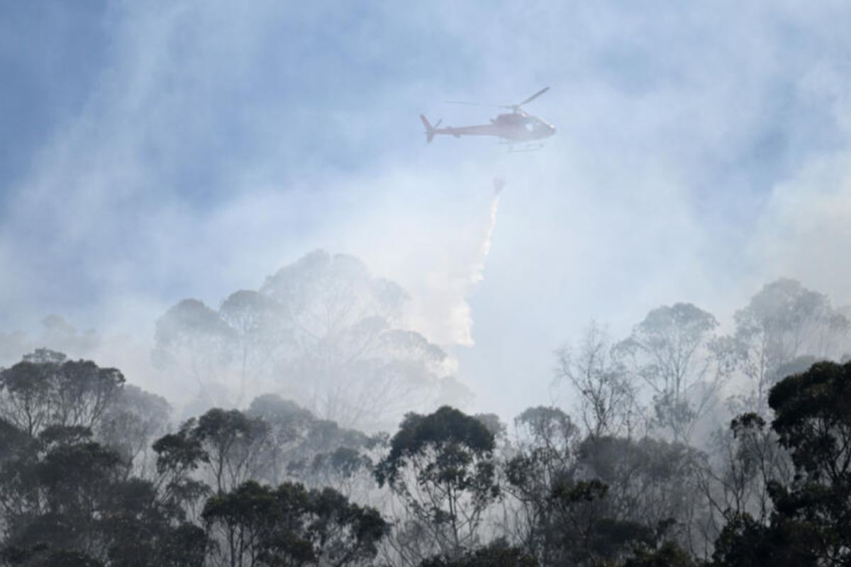 Apagar los incendios en Colombia han costado más de 3.000 millones de pesos a la FAC y al Ejército.