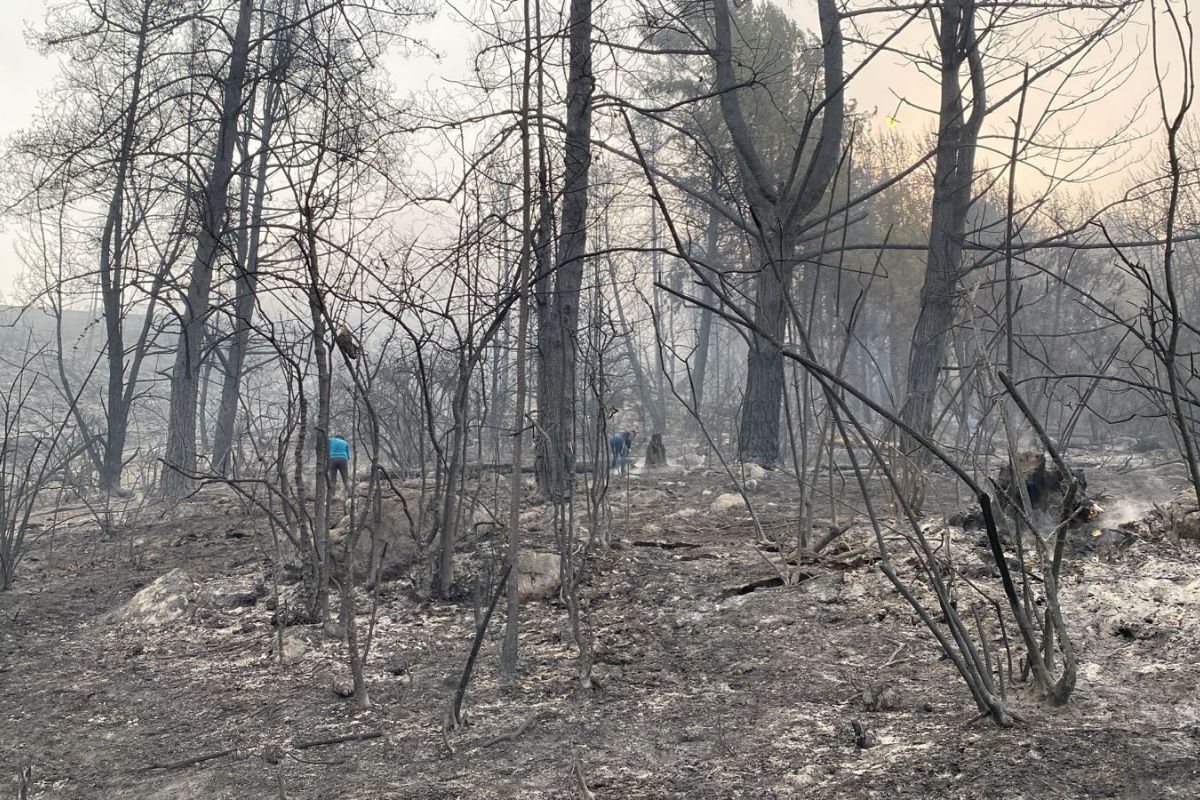 Foto de incendio forestal en Sopó, Cundinamarca