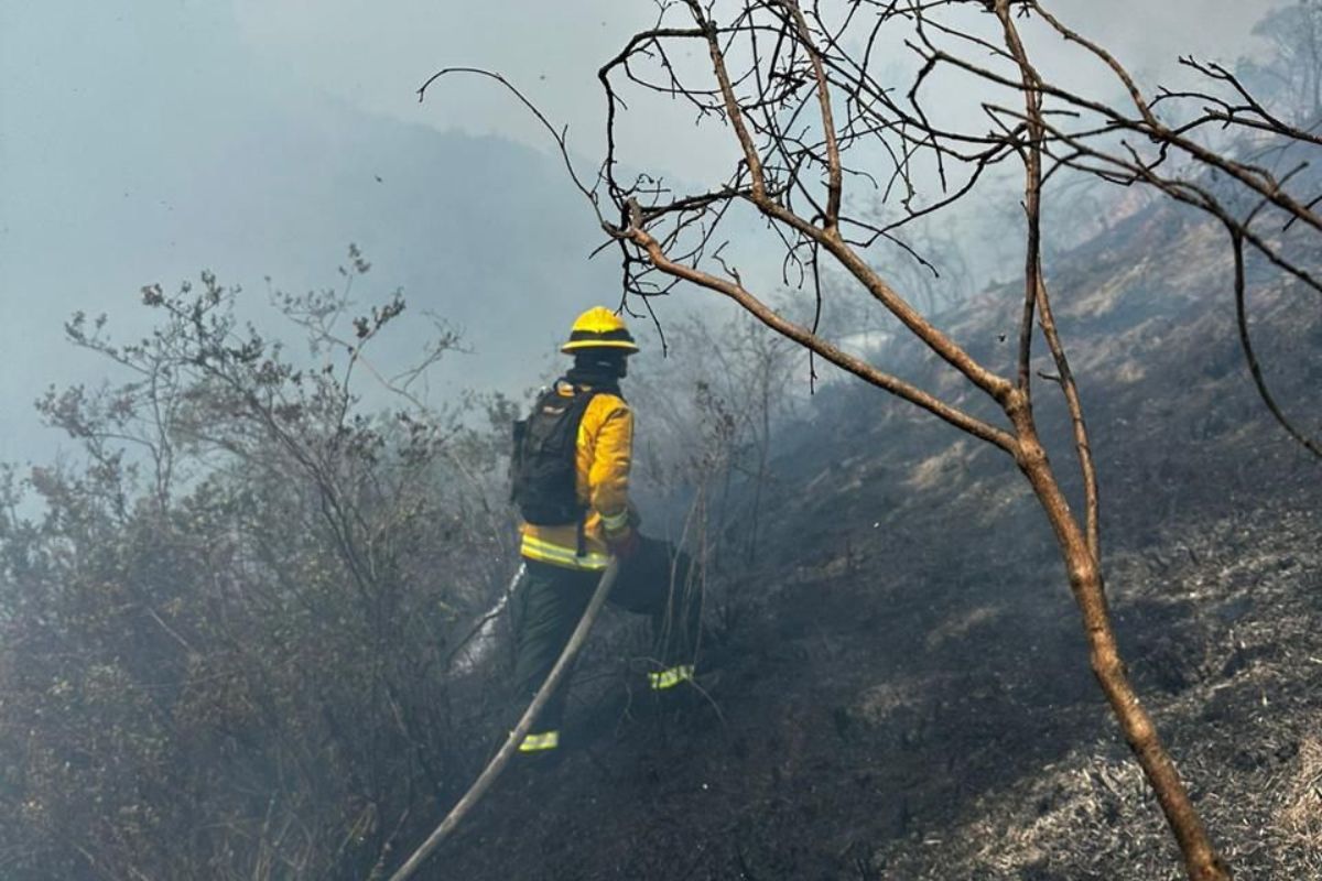Foto de incendio forestal en cerro 'El cable', en Bogotá