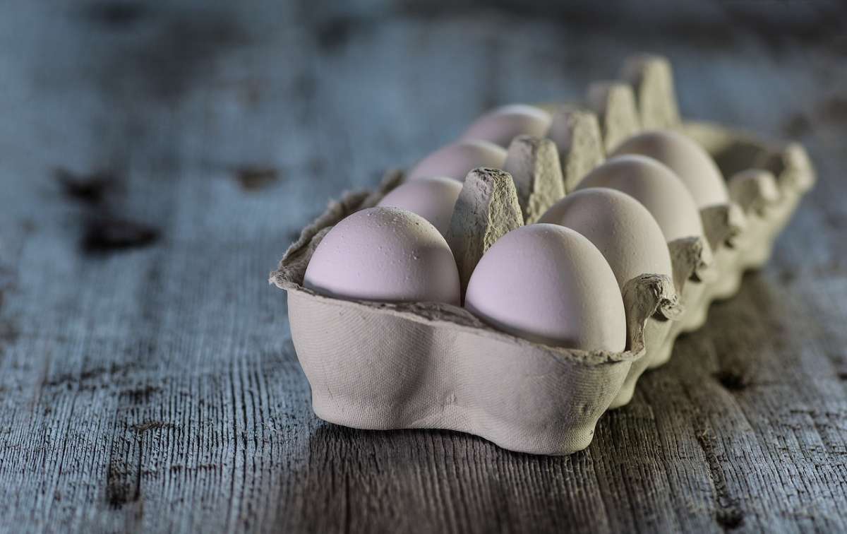Foto de huevos, en nota de por qué se venden en docenas: verdadera razón y cuánto valen en Colombia