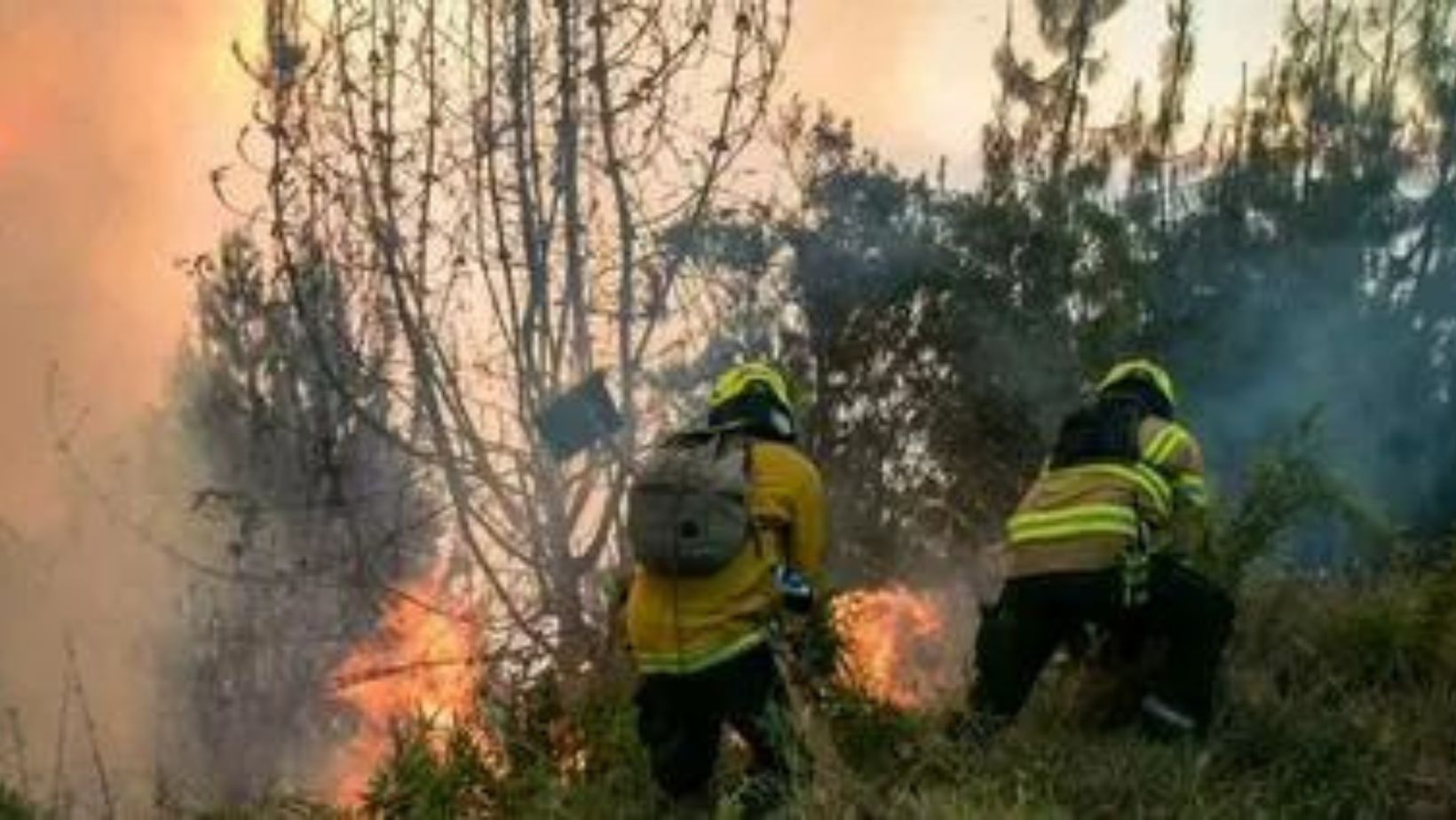 Incendios forestales causan preocupación en Medellín: van 186 emergencias