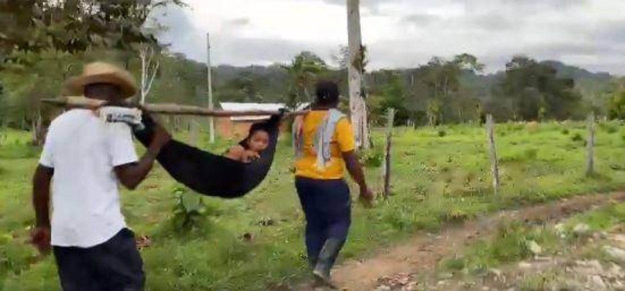 Niño indígena de 10 años falleció por mordedura de serpiente en Antioquia