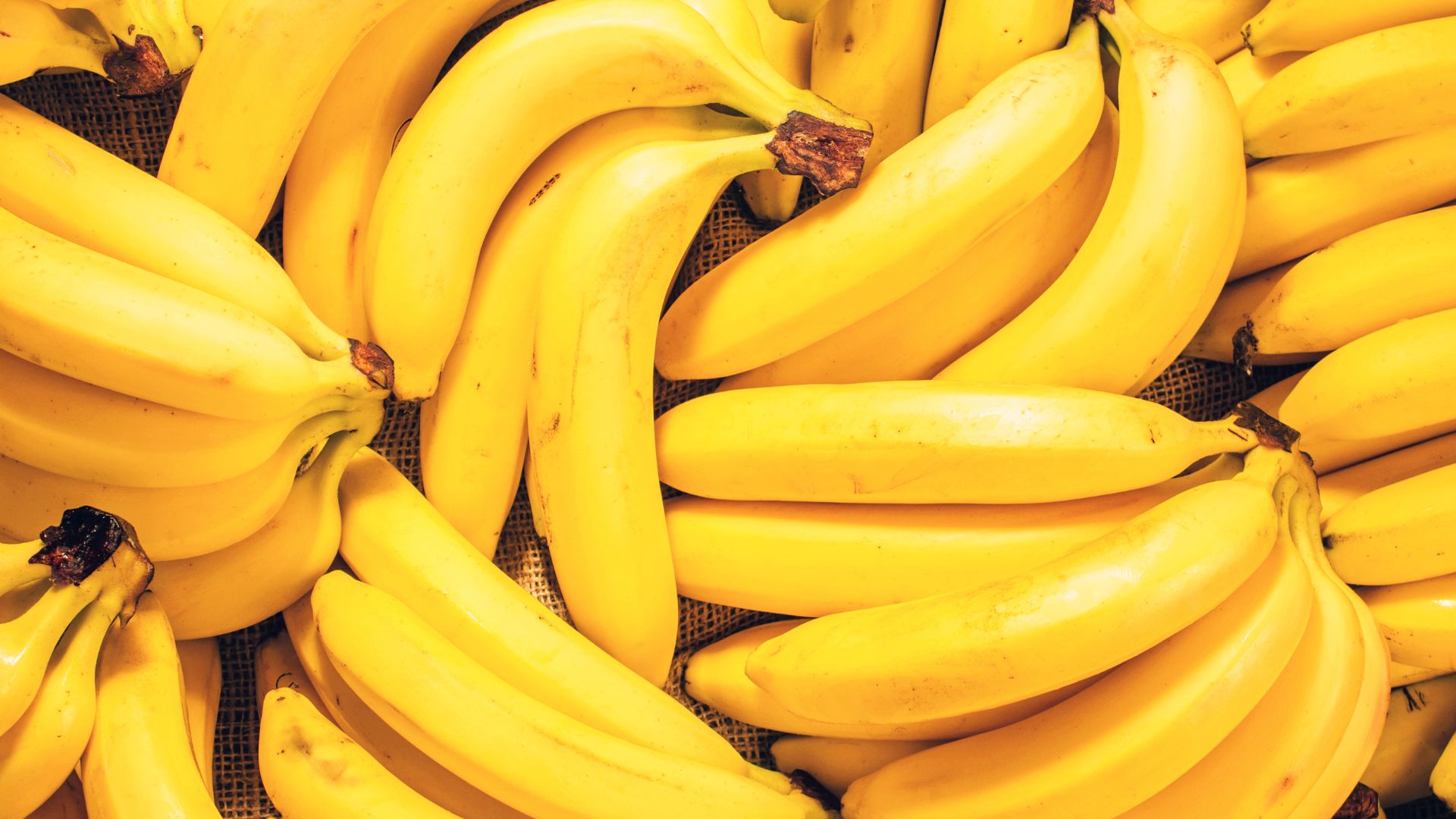 Imagen de bananos por nota sobre mejora genética para Colombia