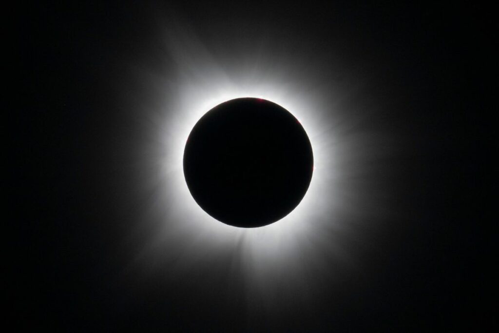 En Dallas, Texas, Estados Unidos, las personas lograron observar la totalidad del eclipse solar - Foto: Keegan Barber/ NASA via Getty Images/ AFP.
