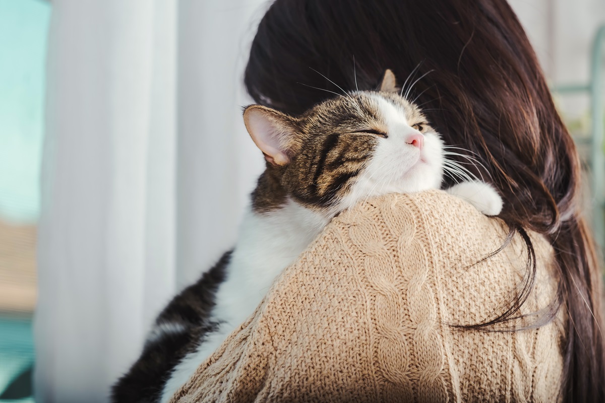 ¿Qué sienten los gatos cuando los abrazan?
