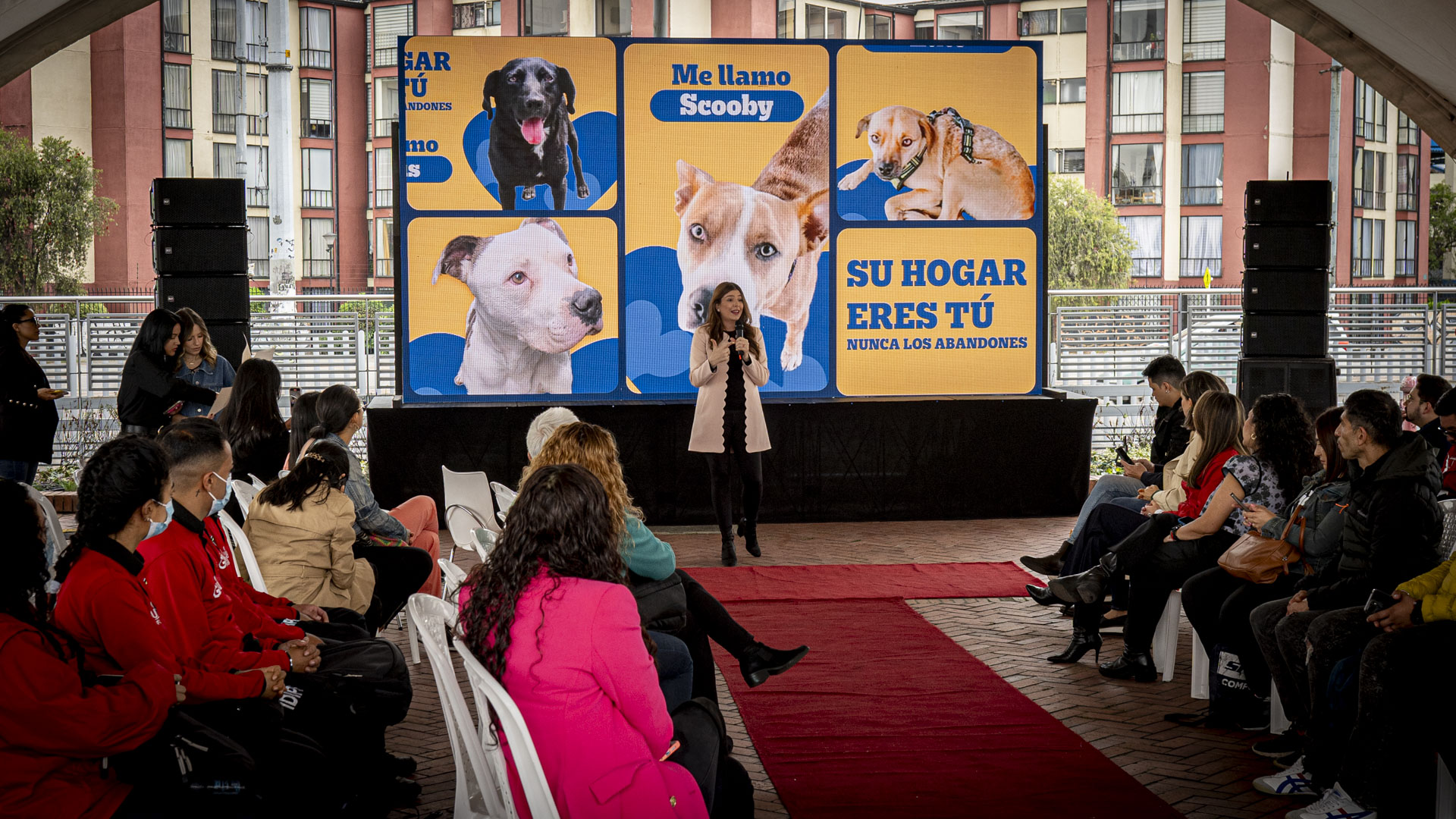 La campaña de Mars Petcare, TransMilenio y Pedigree para combatir el abandono animal e incentivar a las personas a que adopten mascotas.