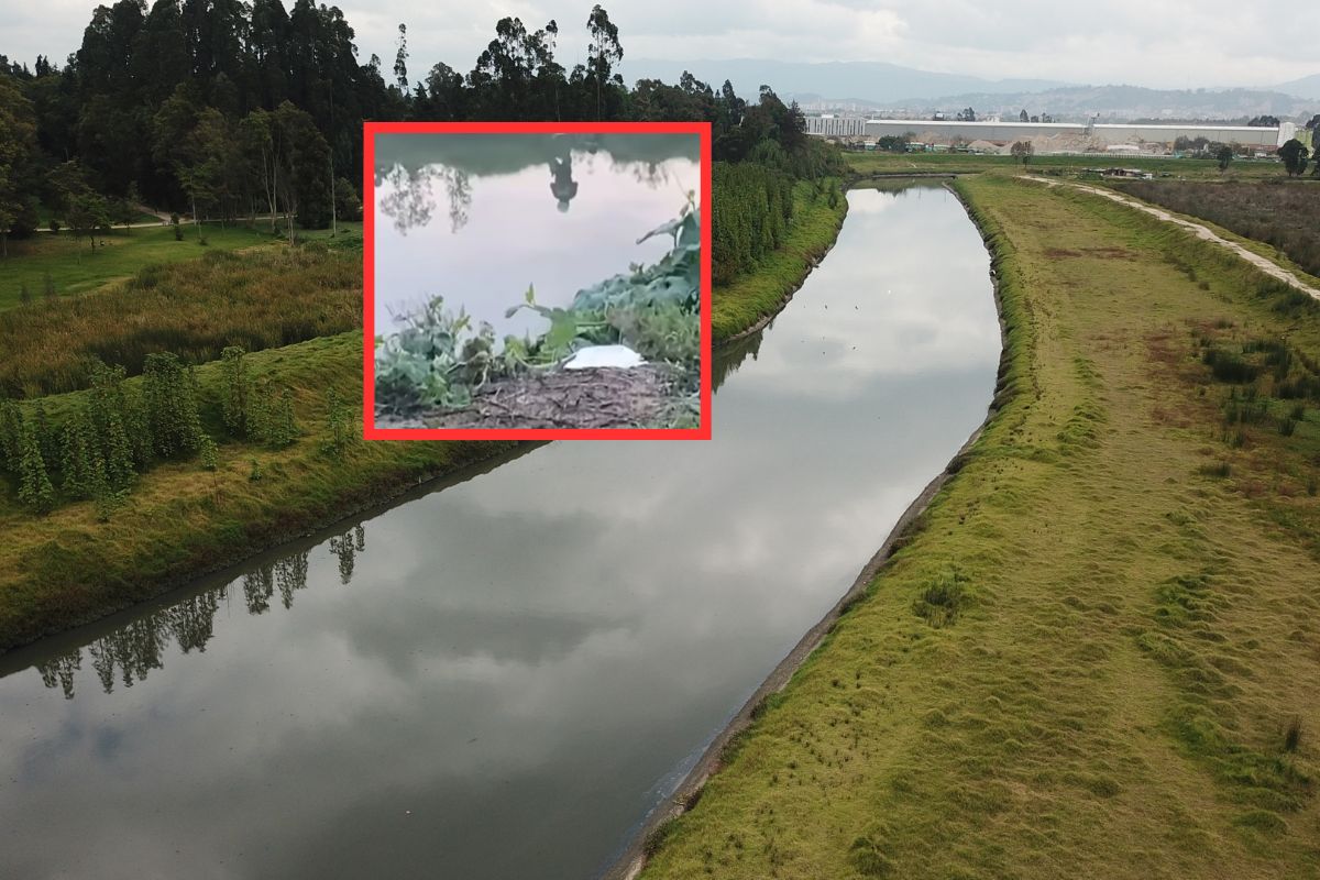 Macabro hallazgo en el río Bogotá: encuentran cuerpo de un hombre que recorrió toda la ciudad y terminó en Cota. 