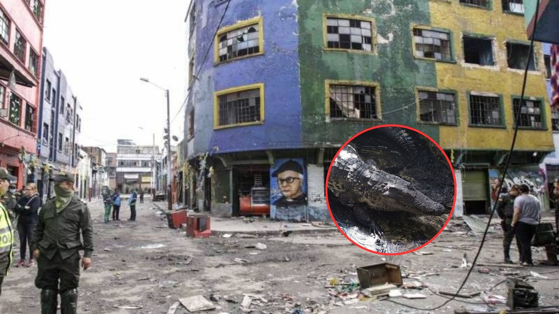 Filtran foto de 'Pepe', cocodrilo del Bronx de Bogotá que desaparecía víctimas