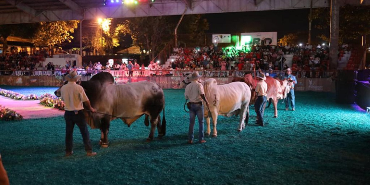 Lanzamiento de la Feria Nacional de la Ganadería en Córdoba, en junio de 2024