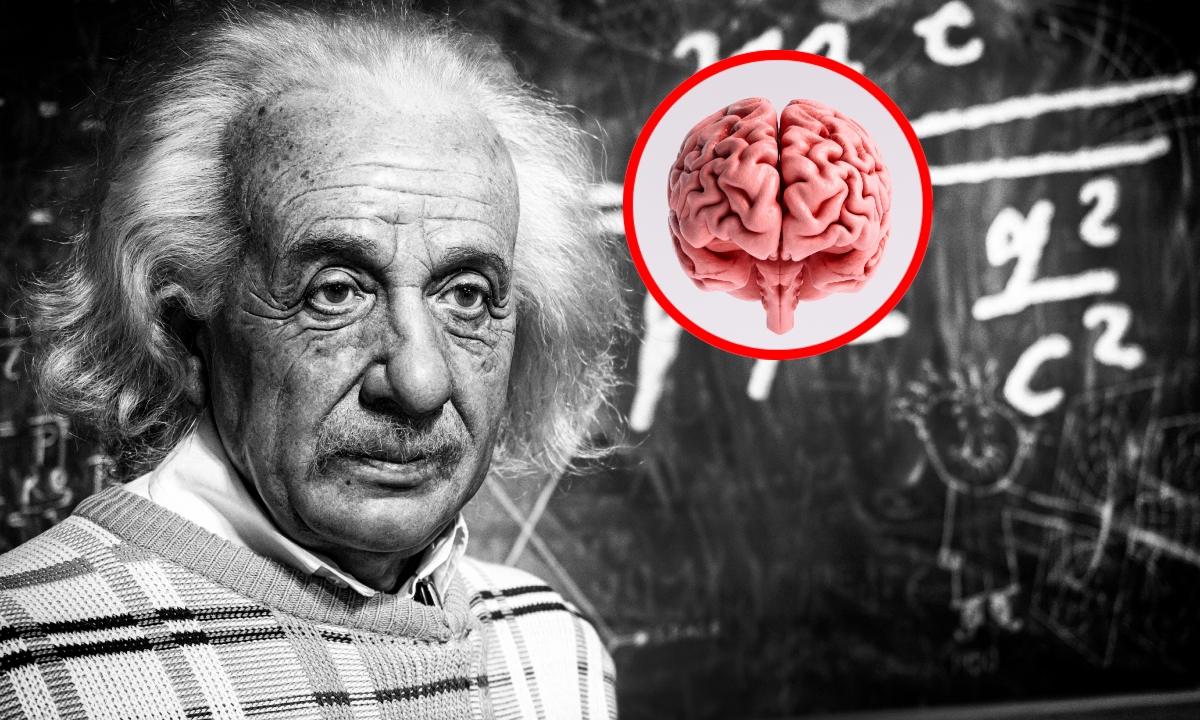¿Qué pasó con el cerebro de Einstein cuándo murió?