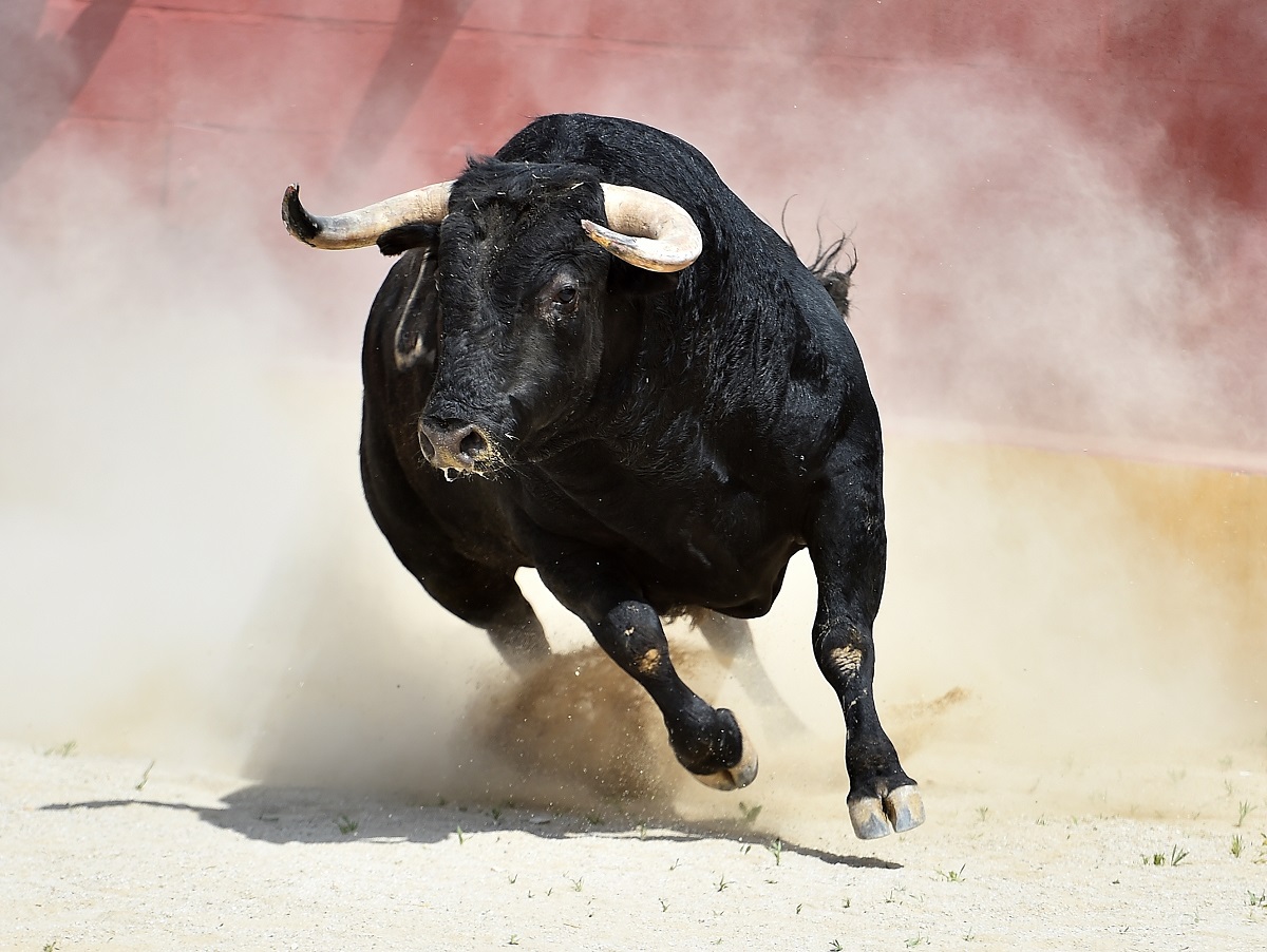 Aprueban prohibición de corridas de toros en Colombia: histórica decisión