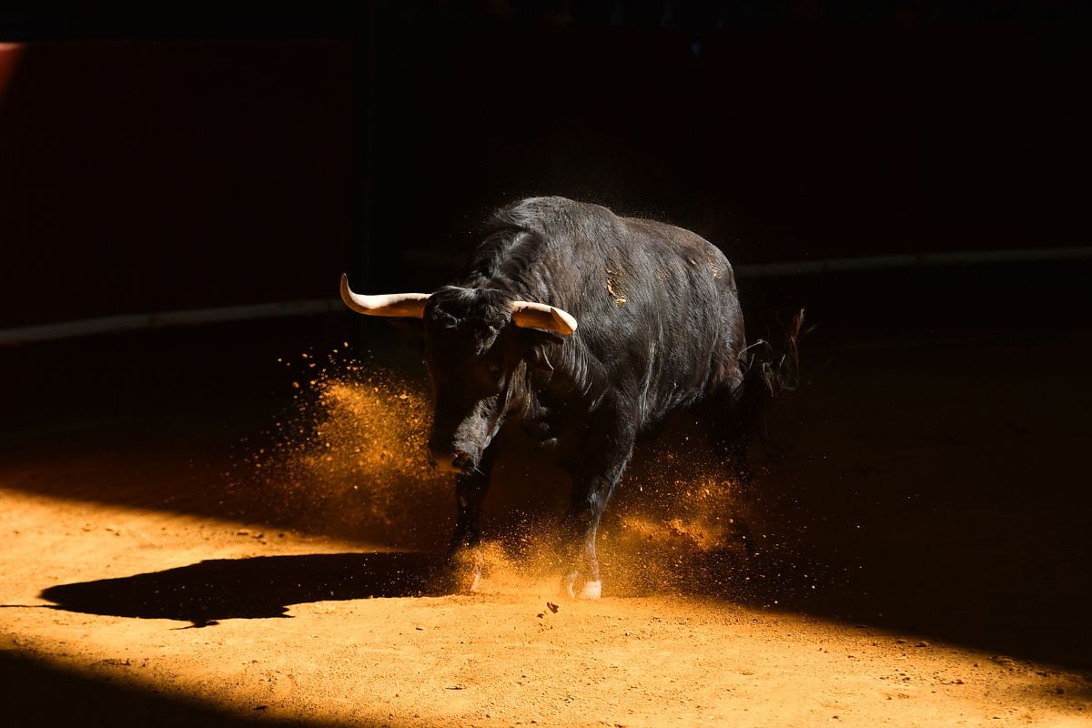 ¿Cuándo se acaban definitivamente las corridas de toros en Colombia?