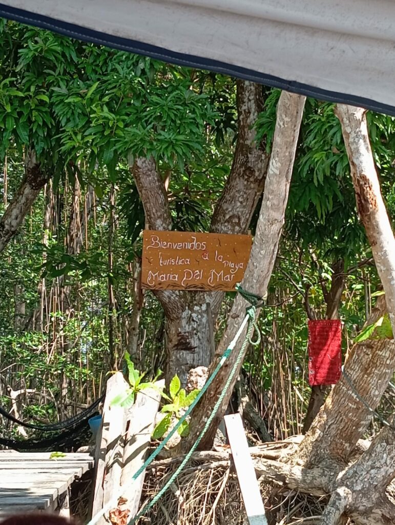 Inicio a la playa de María del mar, Tumaco. Foto: Pulzo