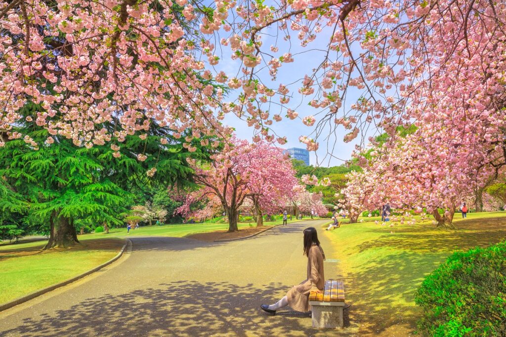 Jardín nacional Shinjuku Gyoen de Japón / Shutterstock