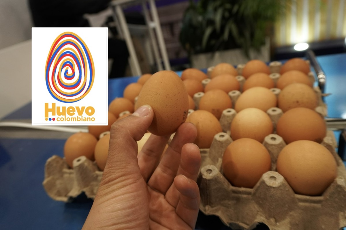 Huevos de Colombia tendrán sello propio