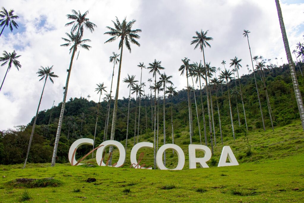 Valle del Cocora / Shutterstock