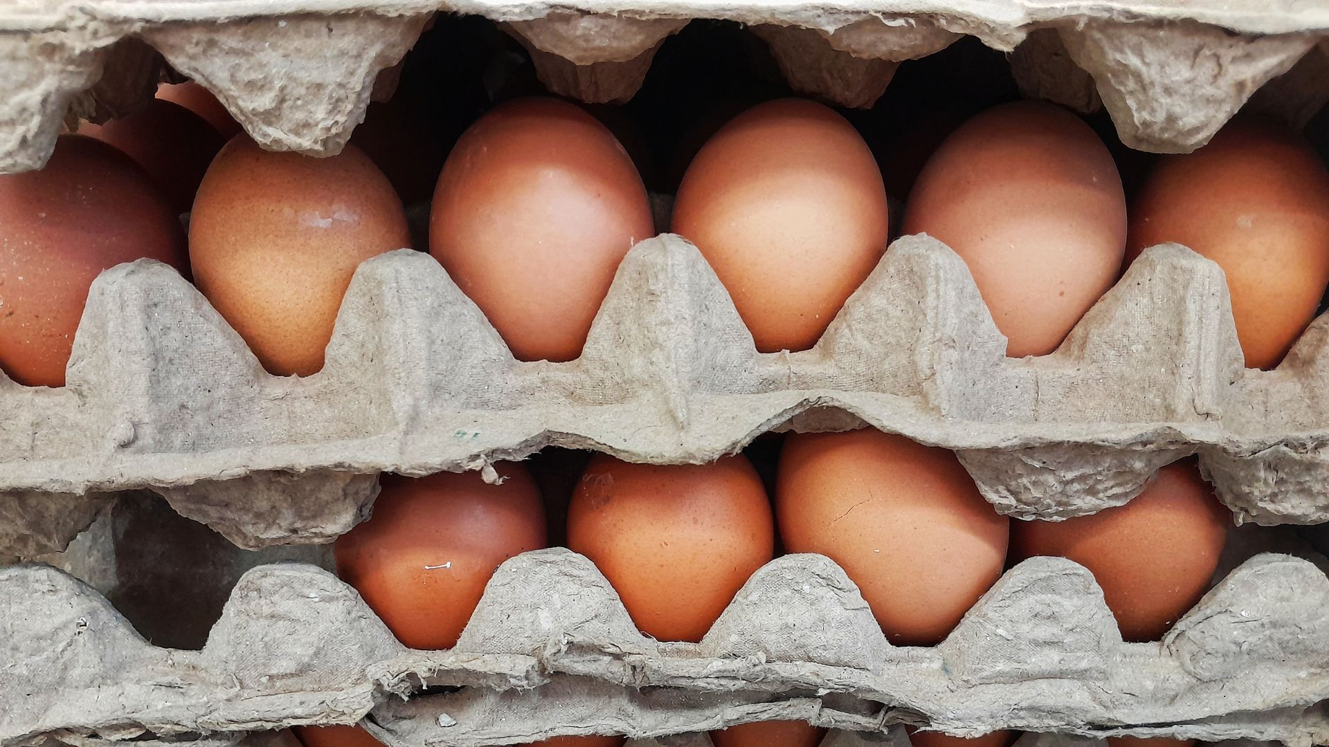Usar cáscaras de huevo ayuda a que colombianos ahorren plata por sus beneficios