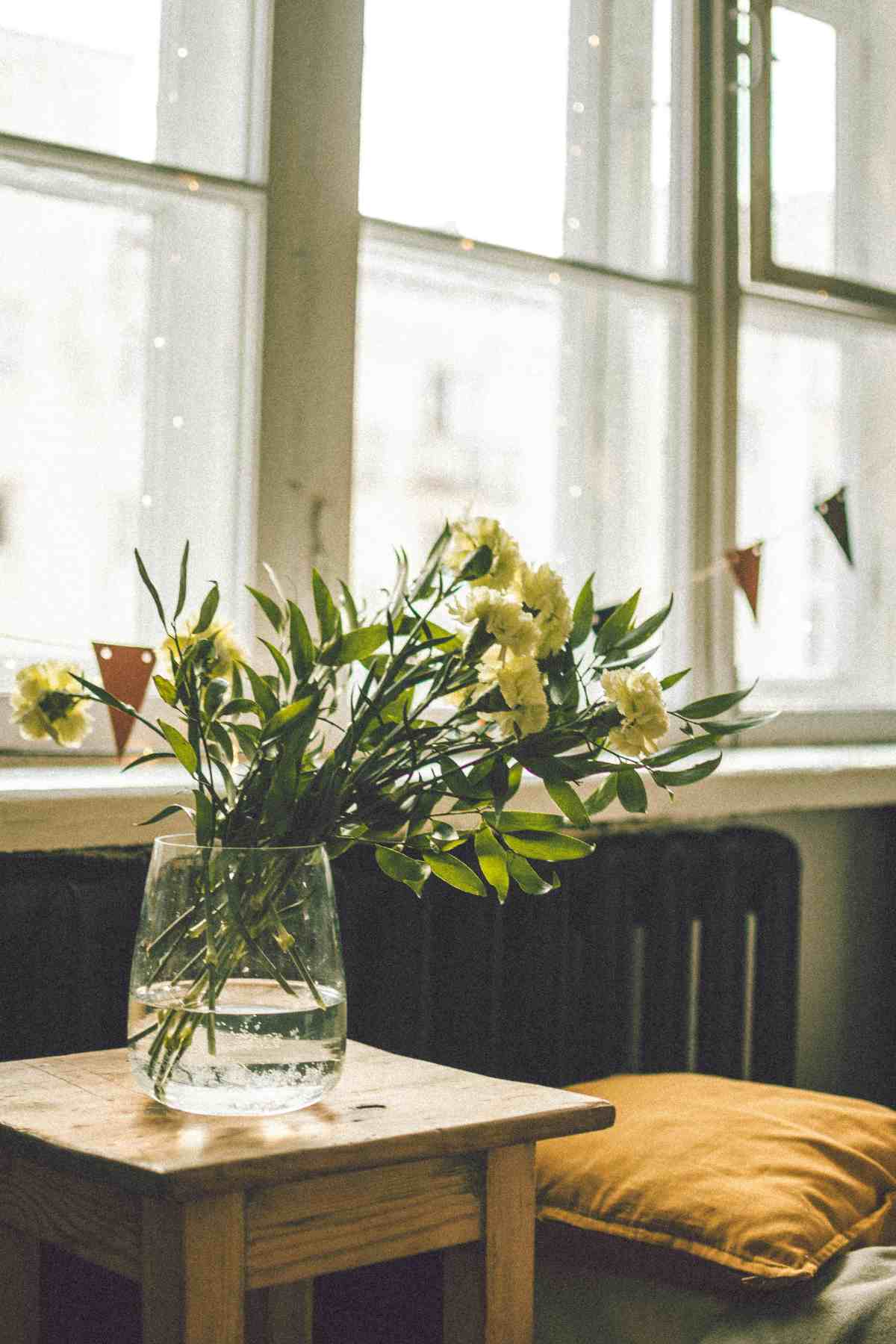 Foto de claveles, en nota de qué flores duran más sin marchitarse: saberlo ayuda a no estar cambiando pronto