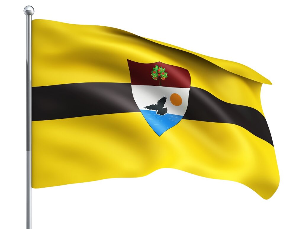 Bandera de Liberland / Shutterstock